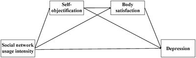 The impact of social network use on adolescent depression: the chain mediation between self-objectification and body satisfaction